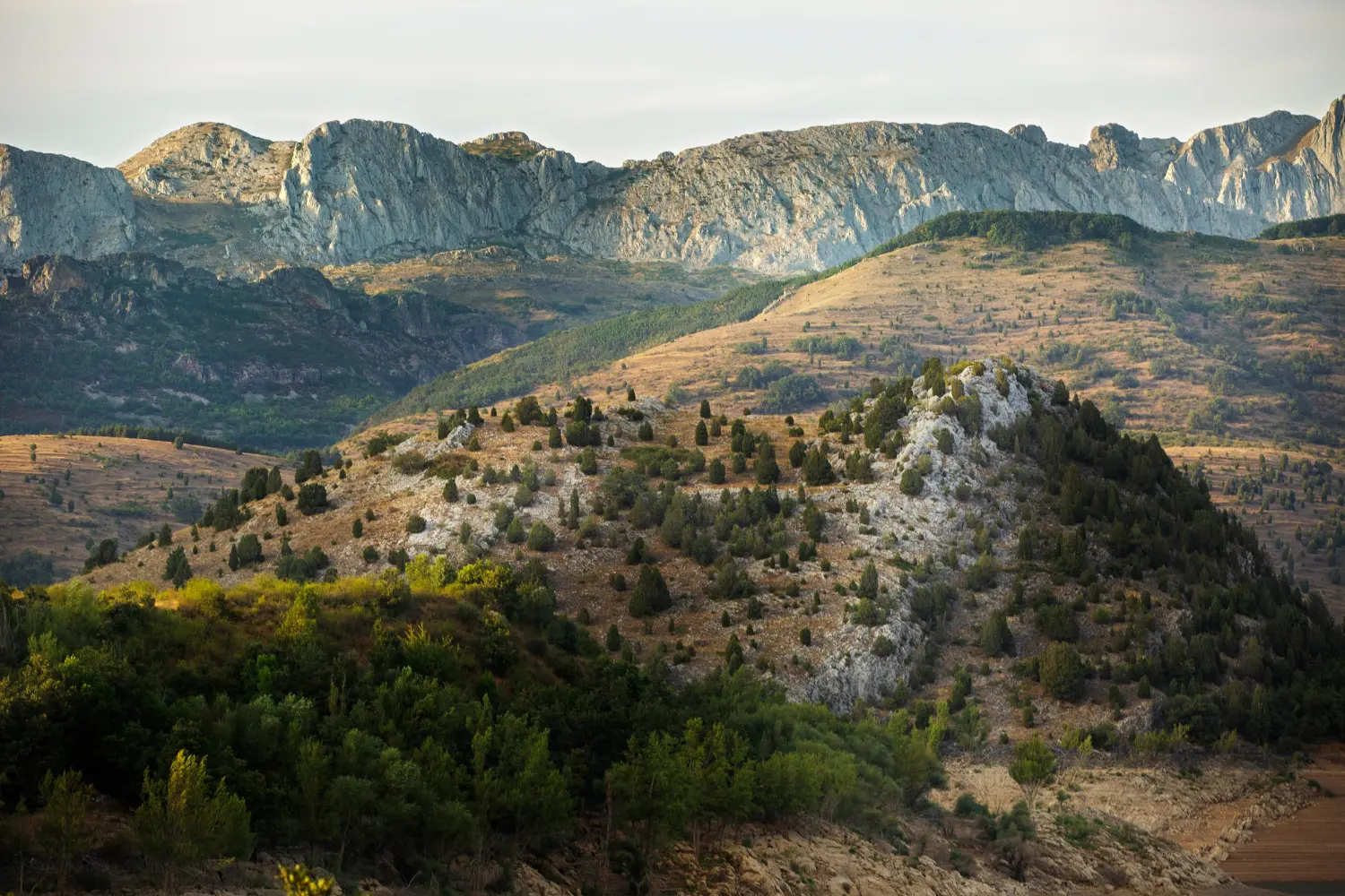 montagne djebel chaambi en tunisie dans la région de kasserine